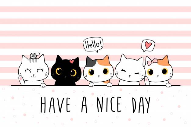 cats saying hi