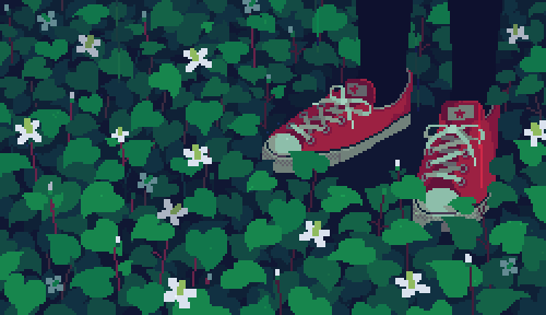 rainy forest